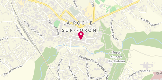 Plan de Bijouterie Jeandemange, 109 Rue Perrine, 74800 La Roche-sur-Foron